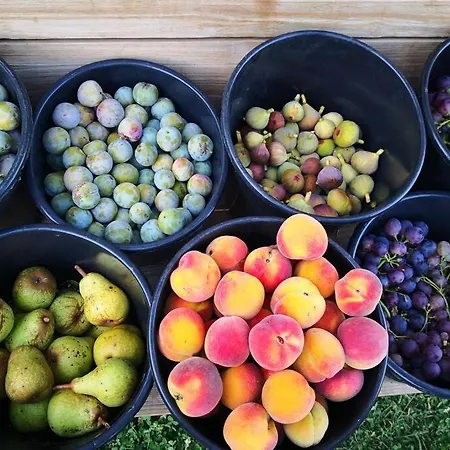 La Belle Petite Ferme Rosiers De Julliac 19350 בית נופש Le Bos