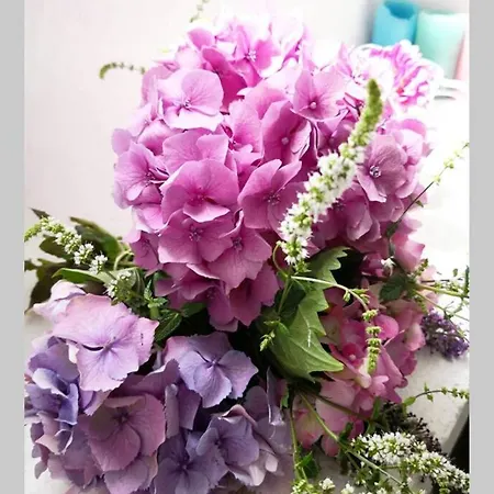 La Belle Petite Ferme Rosiers De Julliac 19350 * Le Bos