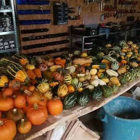 בית נופש La Belle Petite Ferme Rosiers De Julliac 19350 Le Bos