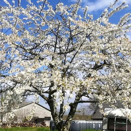 La Belle Petite Ferme Rosiers De Julliac 19350 בית נופש