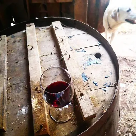 בית נופש La Belle Petite Ferme Rosiers De Julliac 19350