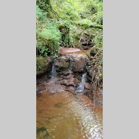 La Belle Petite Ferme Rosiers De Julliac 19350 *