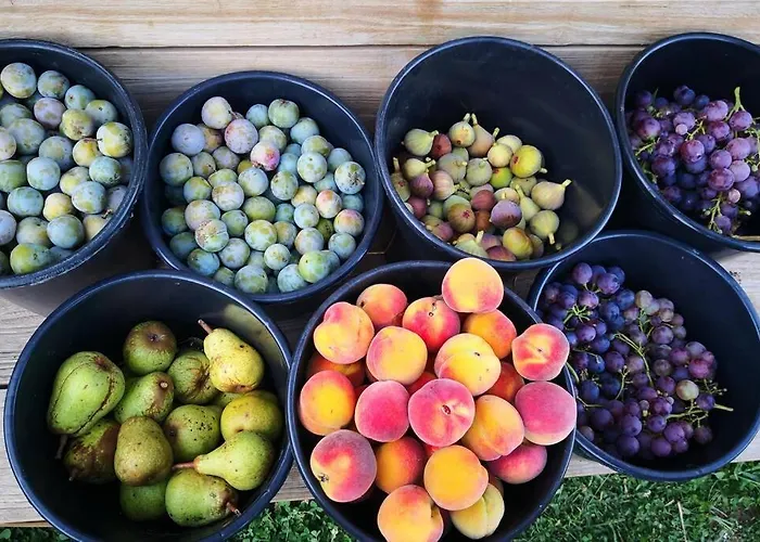 La Belle Petite Ferme Rosiers De Julliac 19350 Hébergement de vacances Le Bos