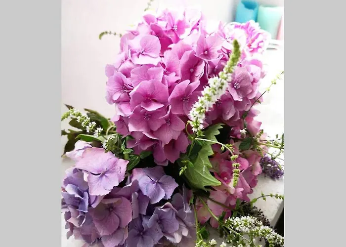 La Belle Petite Ferme Rosiers De Julliac 19350 * Le Bos