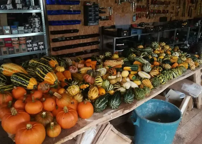 Hébergement de vacances La Belle Petite Ferme Rosiers De Julliac 19350 Le Bos
