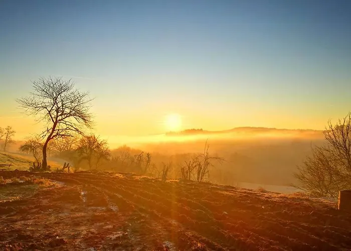 La Belle Petite Ferme Rosiers De Julliac 19350 *