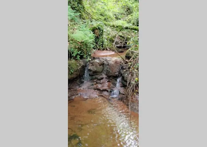 La Belle Petite Ferme Rosiers De Julliac 19350 *
